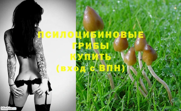 мет Мегион