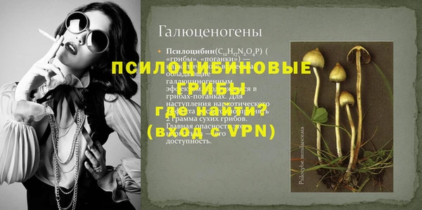 мет Мегион
