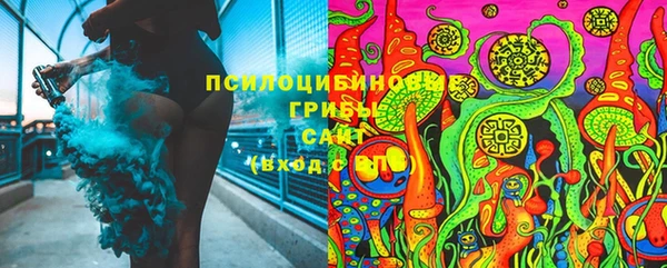 mdpv Медвежьегорск