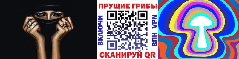 kraken маркетплейс  Невьянск  Псилоцибиновые грибы Psilocybine cubensis 
